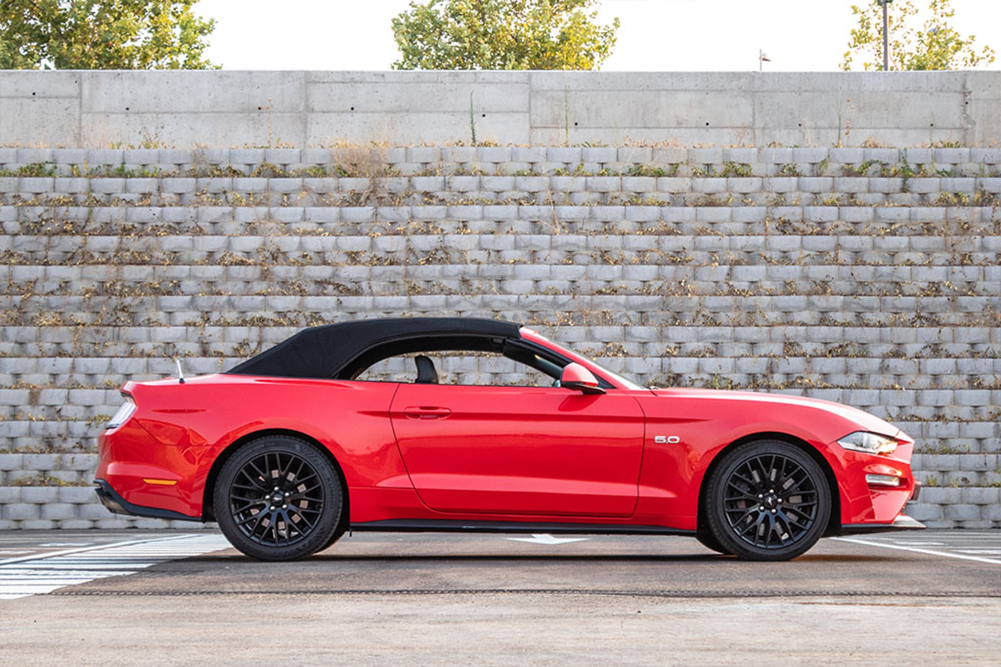 Ford-Mustang-GT-5-0-Cabrio-8